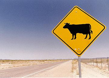 修仙版《文明》？4X修仙游戏《宗门志》现已开启免费试玩